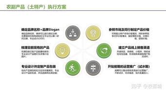 農(nóng)副產(chǎn)品及土特產(chǎn)電商運(yùn)營推廣 掌握互聯(lián)網(wǎng)營銷方法，開啟盈利之路